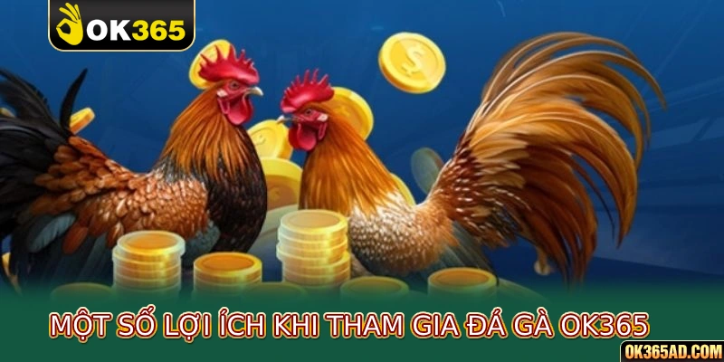 Một số lợi ích khi tham gia đá gà ok365